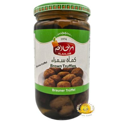 كماة سمراء الأحلام 12×
