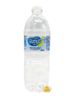 ماء (Gumus) 12×500ML