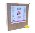 ⁦ماء الزهر بيروت 250ml×12⁩ - الصورة ⁦2⁩